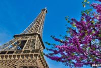 Renowned Floral Designer Launches Masterclasses at Four Seasons Hotel George V Paris