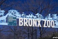 Explore New York City Neighborhoods: A Local’s Guide to Each Borough