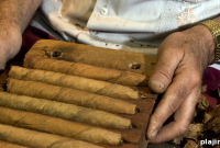 Win a Luxury Cigar Safari in Nicaragua — Enter to Win Now