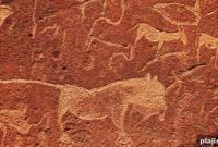 Hidden Gems of Namibia: Off-the-Beaten-Path Adventures