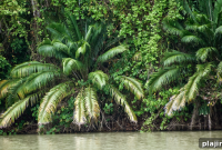 Custom Luxury Travel Experiences in Latin America