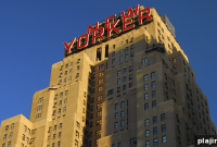 Iconic New York: A Complete Guide to Must-See Sights and Neighborhoods