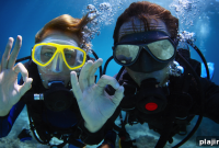 Divers’ Dream: Top Scuba Destinations and Gear for 2026