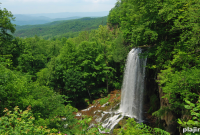 Cook at The Greenbrier: Signature Recipes & Cooking Classes