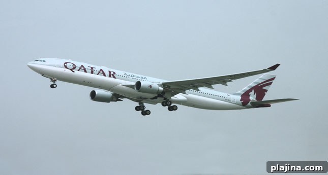 featured 42339