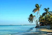 Romantic Valentine’s Day Ideas in Jamaica — Couples’ Guide