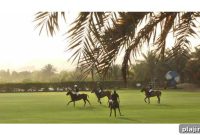 Desert Palm Dubai Resort & Golf Club: Luxury Stays and Tee Times