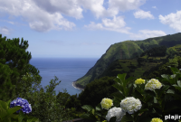 Flight to Fancy: How to Design a Dreamy Travel-Inspired Home