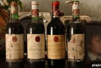 Tenuta di Capezzana: Exploring Capezzana Wines from Italy