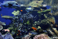 Earth Day Action Guide: Simple Ways to Protect the Planet This Year