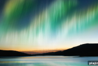 The Fantastic Lights: A Guide to Spectacular Light Shows
