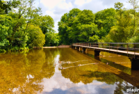 Serene Lake Sculptures: Outdoor Art Ideas and Placement Tips