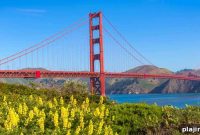 How San Francisco Drives Local Business Foot Traffic