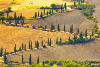 Tuscan Treasures: Discover Authentic Tuscany Experiences