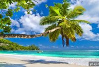 Discover the Luxurious New Seychelles Beach Resort