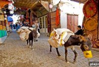 Fes el-Bali: Explore Morocco’s Ancient Medina and Top Sights