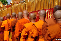 Embarking on a Blessed Journey: Finding Meaning and Purpose
