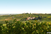 Simply DuVine: A Complete Guide to the DuVine Travel Experience