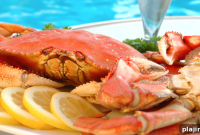 Mastering Alfresco Dining: Stylish Outdoor Meal Ideas and Tips