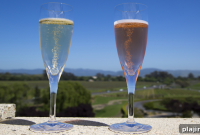 When Food Meets Wine: Pairing Tips and Flavor Matches