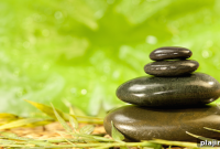 Pampered in Seattle: Top Luxury Spa Experiences & Day Retreats
