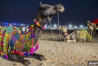 Pushkar Camel Fair Guide: Dates, Highlights & Travel Tips