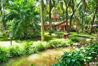 Balance Mind, Body, and Spirit with Ancient Ayurvedic Practices