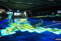 Wellington Business Trip? Family-Friendly Activities and Tips