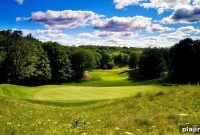 Explore Treetops: Activities, Amenities, and Vacation Stays