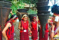 Discover Nagaland: A Complete Travel Guide to Culture & Wildlife