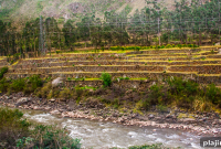 Planning Your Journey to Machu Picchu: Routes, Tips, and Costs