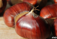 That Old Chestnut: Timeless Stories and Lessons Revisited