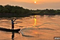 Explore Kerala: Adventure Activities and Serene Retreats