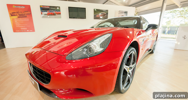 featured 48755