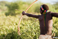 Ultimate Tanzania Safari Tours: Wildlife, Serengeti & Zanzibar