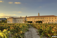 Vine Holiday: Celebrating Vineyard Traditions and Festivities