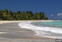 Eco-Chic at the Equator: Sustainable Style & Tropical Living