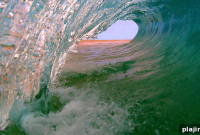 Surf’s Up: Top Surf Spots and Tips for Beginners
