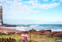 Explore Grand Strand: Myrtle Beach Travel Guide & Top Attractions