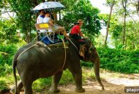 Returning to Phuket: Top Tips for Planning Your Comeback Trip