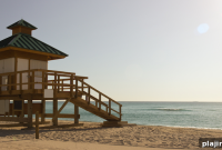 Bright Sunshine Morning Guide: Boost Your Mood and Energy