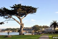 Top Wine-Themed Hotels: Stay Amid Vineyards and Tasting Rooms