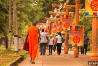 Discover Sri Lanka: Top Attractions, Culture & Travel Guide
