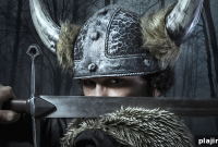 Viking Alert: What It Means and How to Respond Quickly