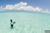 Bahamas Vacation Guide: Top Beaches, Activities & Tips
