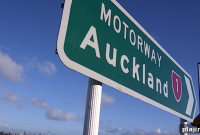 Should Visitors Take Driving Tests in New Zealand? What You Need to Know