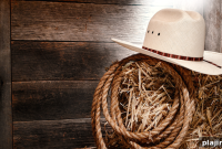 Cochise Cowboy Poetry and Music Gathering: Live Event Guide