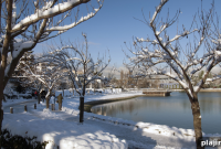 Savor Vancouver: Winter Festivals, Food & Wine Events Guide