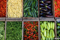 Cycle Uruguay by Bike with a Top Local Chef Guide