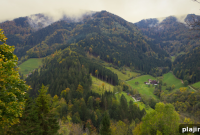 Black Forest Foodies’ Guide: Top Eats and Hidden Gems